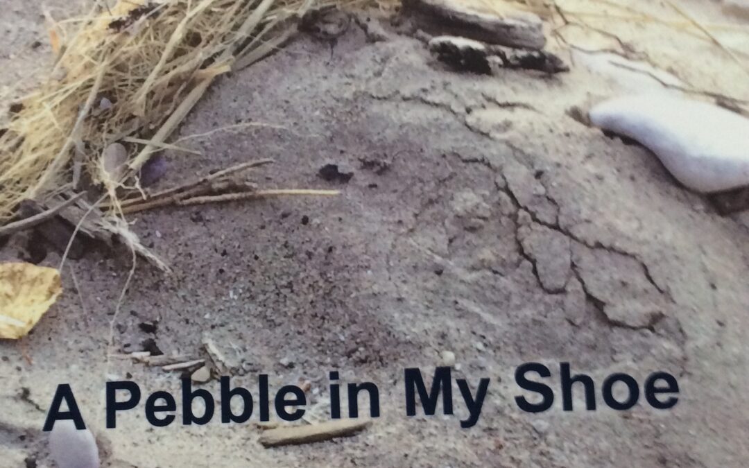 A Pebble in My Shoe