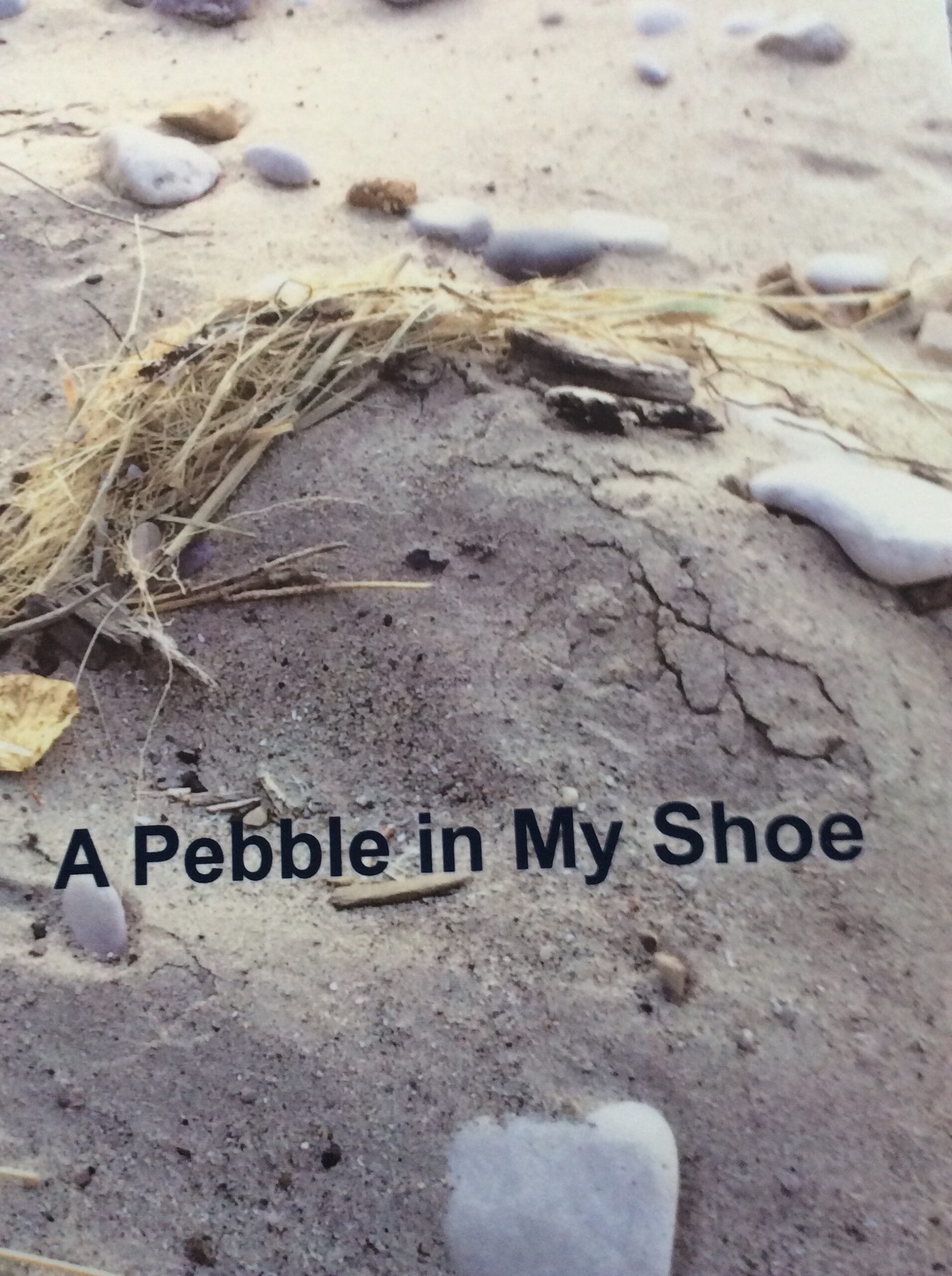 A Pebble in My Shoe